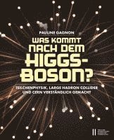 bokomslag Was kommt nach dem Higgs-Boson?