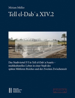 Miriam Muller - Tell El-Dab'a XIV.2: Das Stadtviertel F/I in Tell El-Dab'a/Auaris - Multikulturelles Leben in Einer Stadt Des Spaten Mittleren Reichs Und Der Zwischen, Häftad