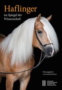 bokomslag Haflinger Im Spiegel Der Wissenschaft