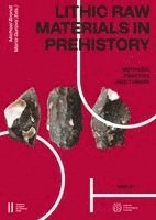Michael Brandl, Maria Gurova - Lithic Raw Materials in Prehistory, Inbunden