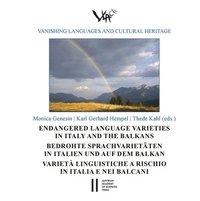 bokomslag Endangered Language Varieties in Italy and the Balkans