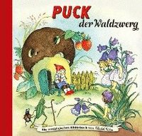 bokomslag Puck der Waldzwerg