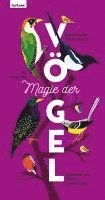 bokomslag Magie der Vögel