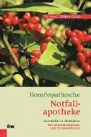 bokomslag Homöopathische Notfallapotheke