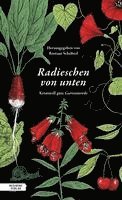 Radieschen von unten