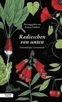 Radieschen von unten 1