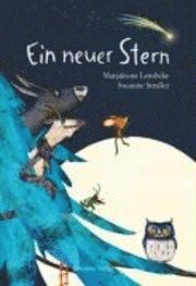 Ein neuer Stern 1