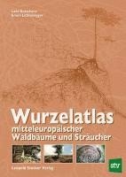 bokomslag Wurzelatlas mitteleuropäischer Waldbäume und Sträucher