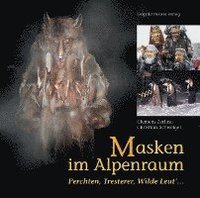 bokomslag Masken im Alpenraum