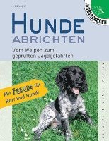 Hunde abrichten 1