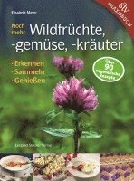 bokomslag Noch mehr Wildfrüchte, -gemüse, -kräuter