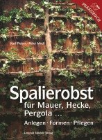 Spalierobst 1