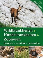bokomslag Wildkrankheiten > Hundekrankheiten > Zoonosen