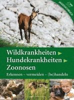 Wildkrankheiten > Hundekrankheiten > Zoonosen 1