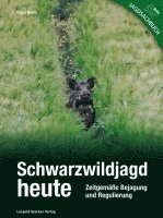 bokomslag Schwarzwildjagd heute