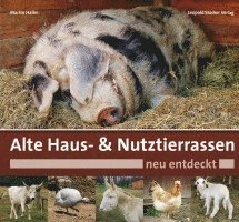 bokomslag Alte Haus- & Nutztierrassen neu entdeckt