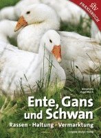 bokomslag Ente, Gans und Schwan