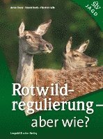 Rotwildregulierung - Aber wie? 1