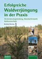 bokomslag Erfolgreiche Waldverjüngung