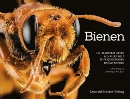 Sam Droege, Laurence Packer - Bienen, Inbunden