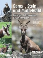 Armin Deutz, Gunther Greßmann, Veronika Grünschachner-Berger, Flurin Filli - Gams-, Stein- und Muffelwild, Inbunden