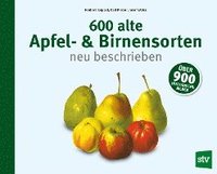 bokomslag 600 alte Apfel- & Birnensorten neu beschrieben