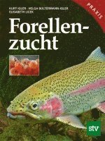 Forellenzucht 1