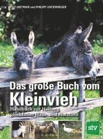 bokomslag Das große Buch vom Kleinvieh