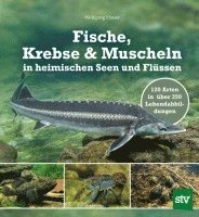 bokomslag Fische, Krebse & Muscheln in heimischen Seen und Flüssen