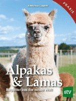 bokomslag Alpakas & Lamas