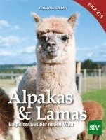 bokomslag Alpakas & Lamas