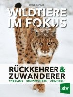 bokomslag Wildtiere im Fokus