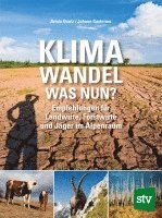 bokomslag Klimawandel - was nun?