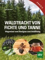 bokomslag Waldtracht von Fichte und Tanne