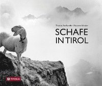 bokomslag Schafe in Tirol