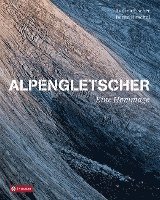 bokomslag Alpengletscher