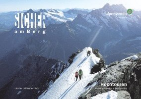 Michael Larcher, Gerhard Mössmer, Lukas Fritz, Österr. Alpenverein - Sicher am Berg: Hochtouren, Häftad