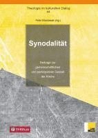 bokomslag Synodalität