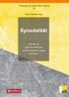Peter Ebenbauer - Synodalität, Häftad