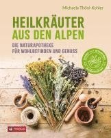 bokomslag Heilkräuter aus den Alpen