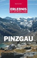 bokomslag Pinzgau