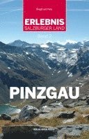 bokomslag Pinzgau