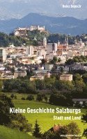 bokomslag Kleine Geschichte Salzburgs