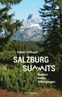 bokomslag Salzburg Summits