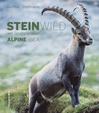 bokomslag Alpine Ibex