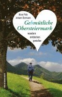 Alois Pötz, Johann Dormann - Gehmütliche Obersteiermark, Häftad