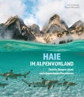 bokomslag Haie im Alpenvorland