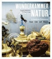 bokomslag Wunderkammer Natur