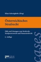 bokomslag Österreichisches Strafrecht