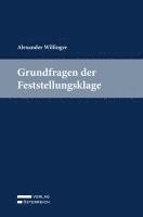bokomslag Grundfragen der Feststellungsklage
